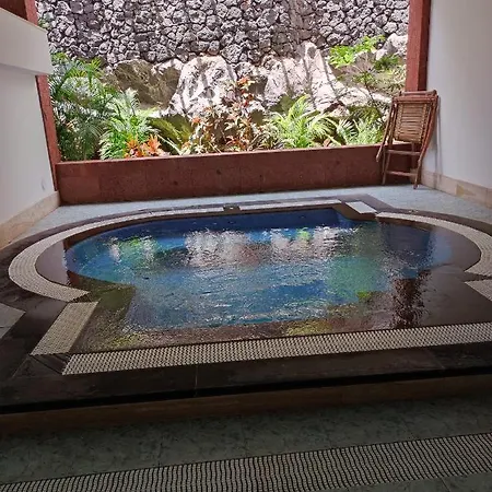 Center Flat Near The Natural Elements Apartment
